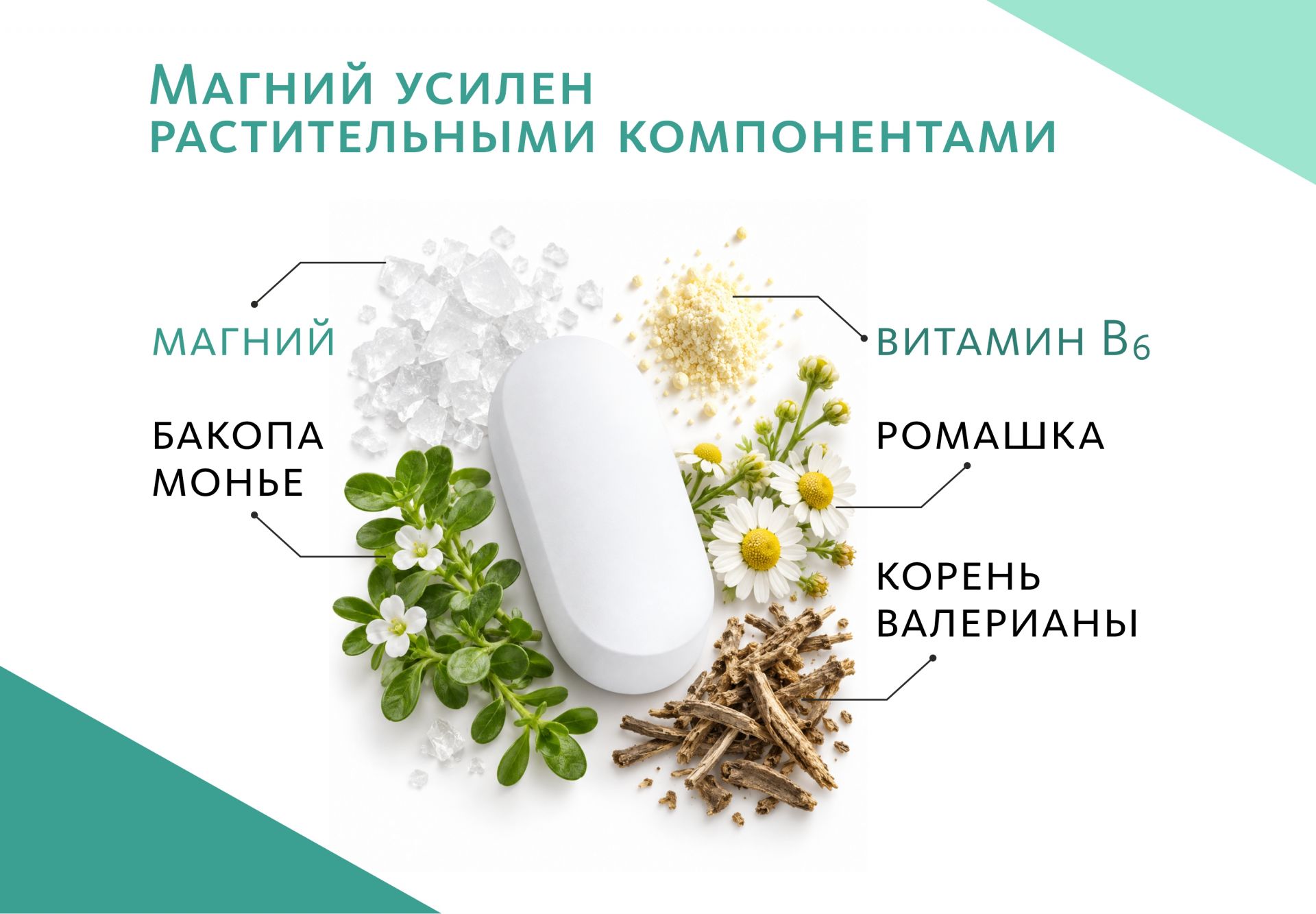 Биологически активная добавка к пище Magnesium & Vitamin B₆ (Магний 300 мг и Витамин B₆ 4 мг)