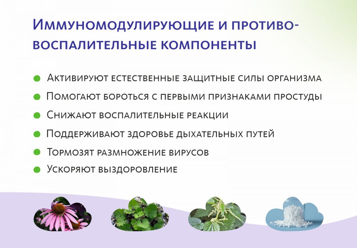 Био-концентрат VitaCode Immuno