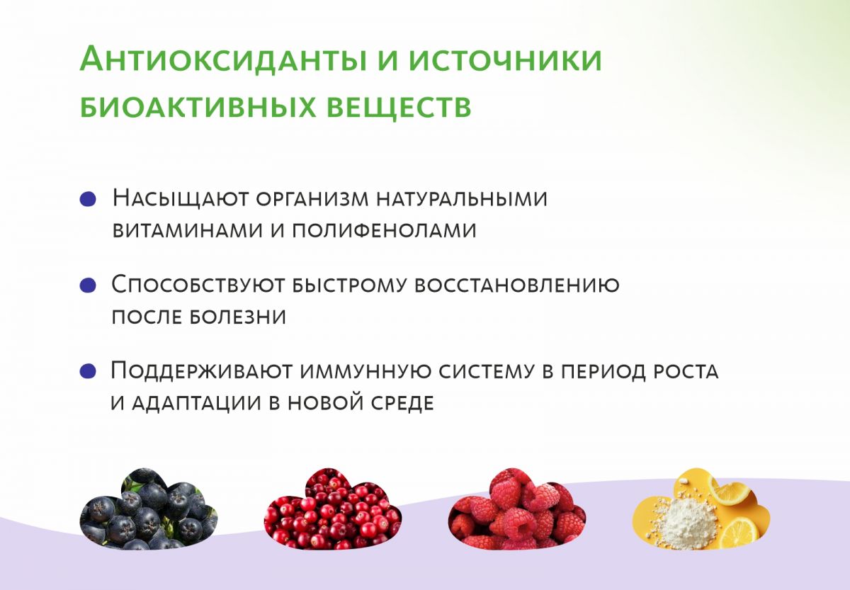 Био-концентрат VitaCode Immuno
