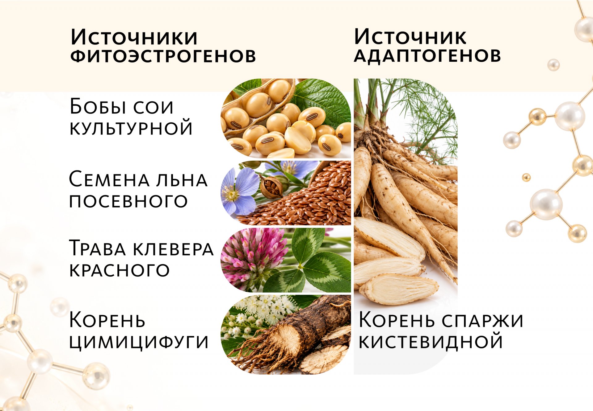 Женские капсулы с фитоэстрогенами и адаптогенами