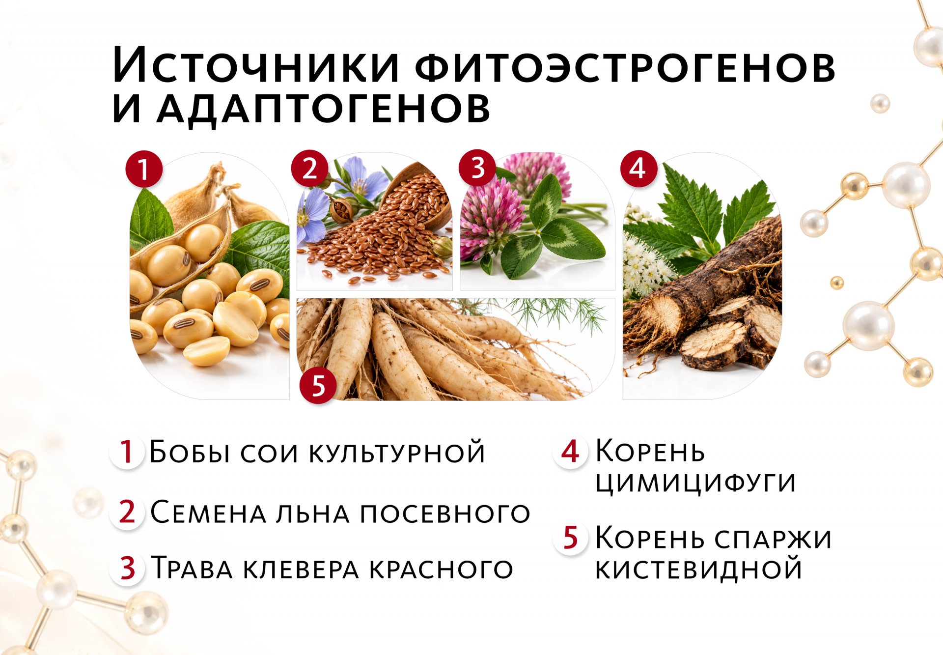 Женские капсулы с фитоэстрогенами и адаптогенами