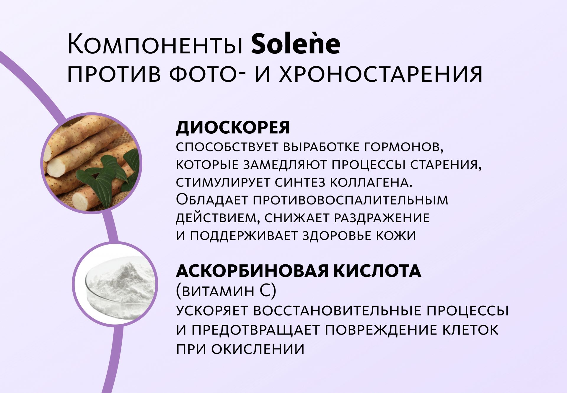НАБОР 3 шт. Solène: природное средство для сохранения молодости