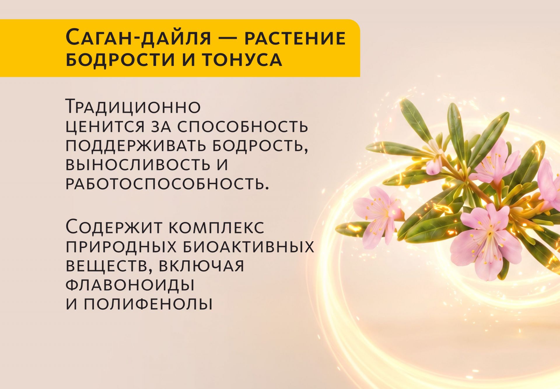 Вкусовой травяной чай «Чаговый с Саган-Дайля»